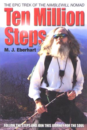 Ten Million Steps book cover